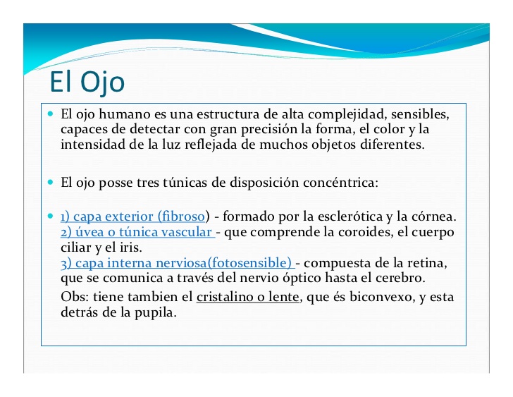 El Ojo
El ojo humano es una estructura de alta complejidad, sensibles,
capaces de detectar con gran precisión la forma, el...